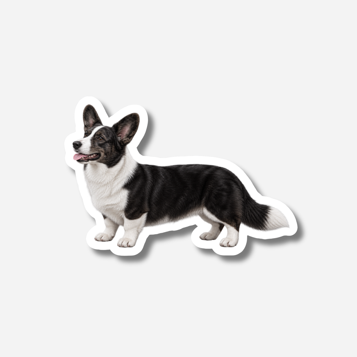 Welsh Corgi Cardigan