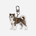 Akita Avaimenperä
