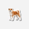 Akita magneetti