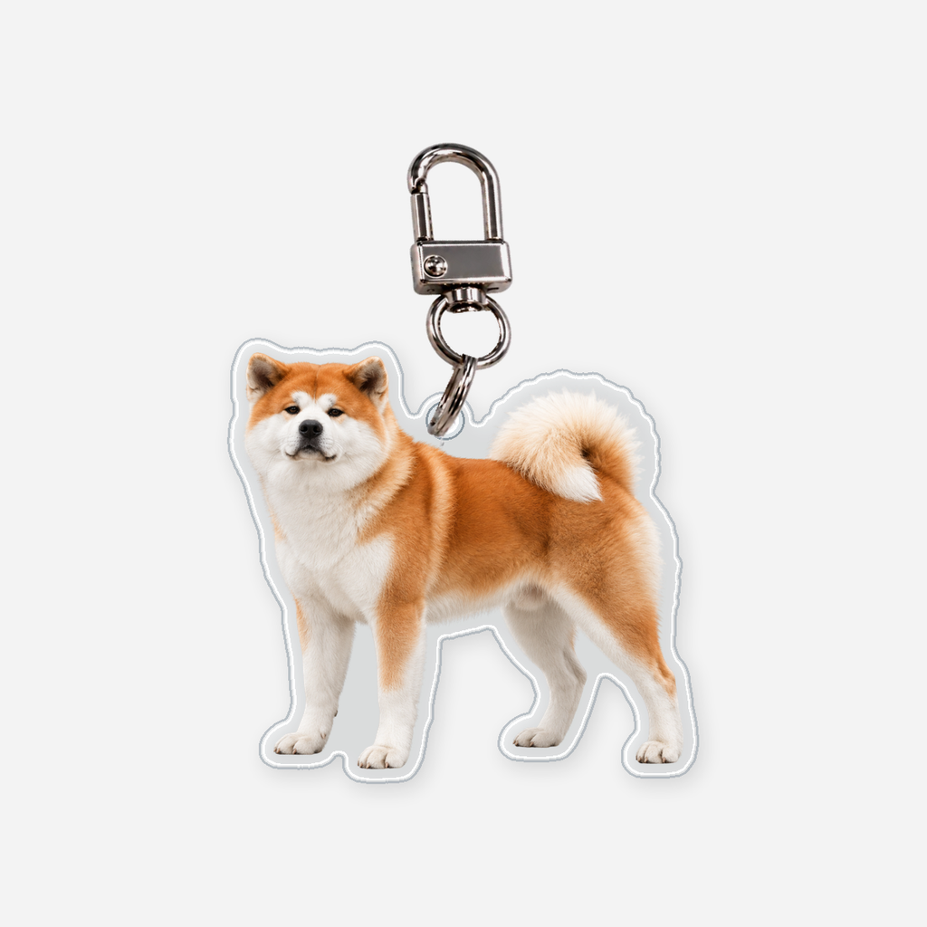 Akita Avaimenperä
