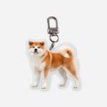 Akita Avaimenperä