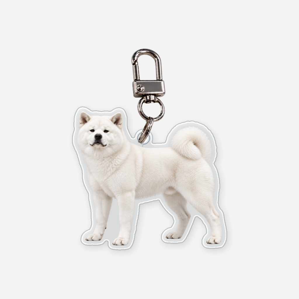 Akita Avaimenperä
