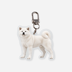 Akita Avaimenperä