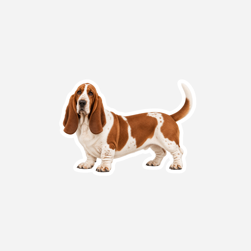 Basset hound magneetti
