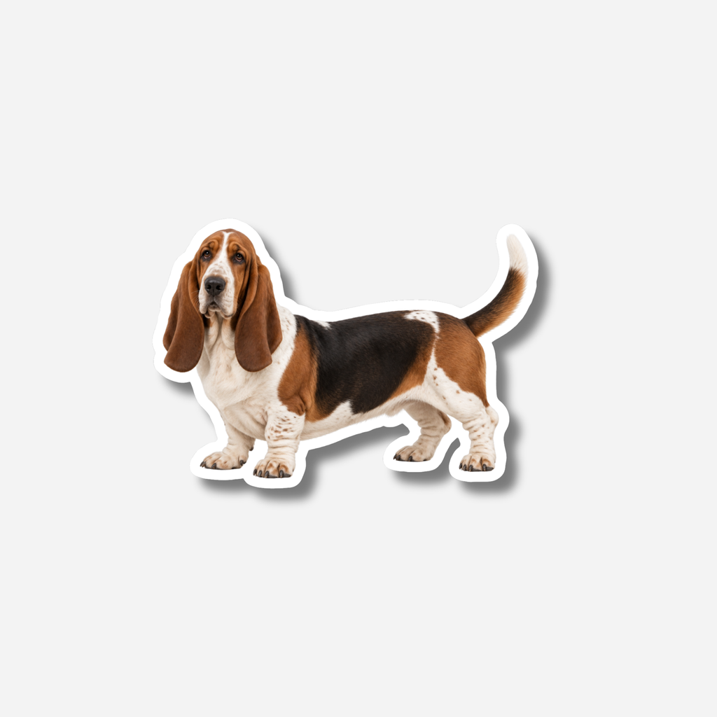 Basset hound magneetti