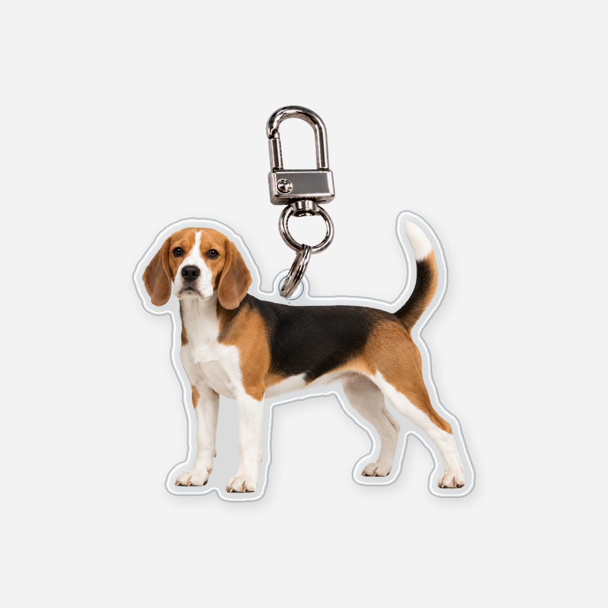 Beagle Avaimenperä