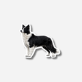 Bordercollie Magneetti