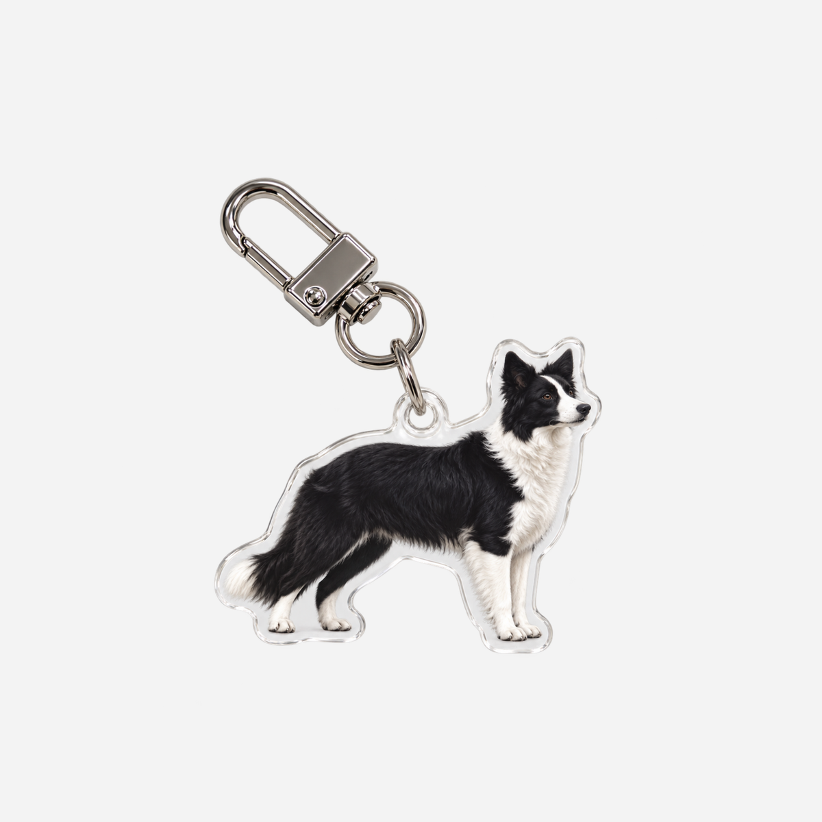 Bordercollie Avaimenperä