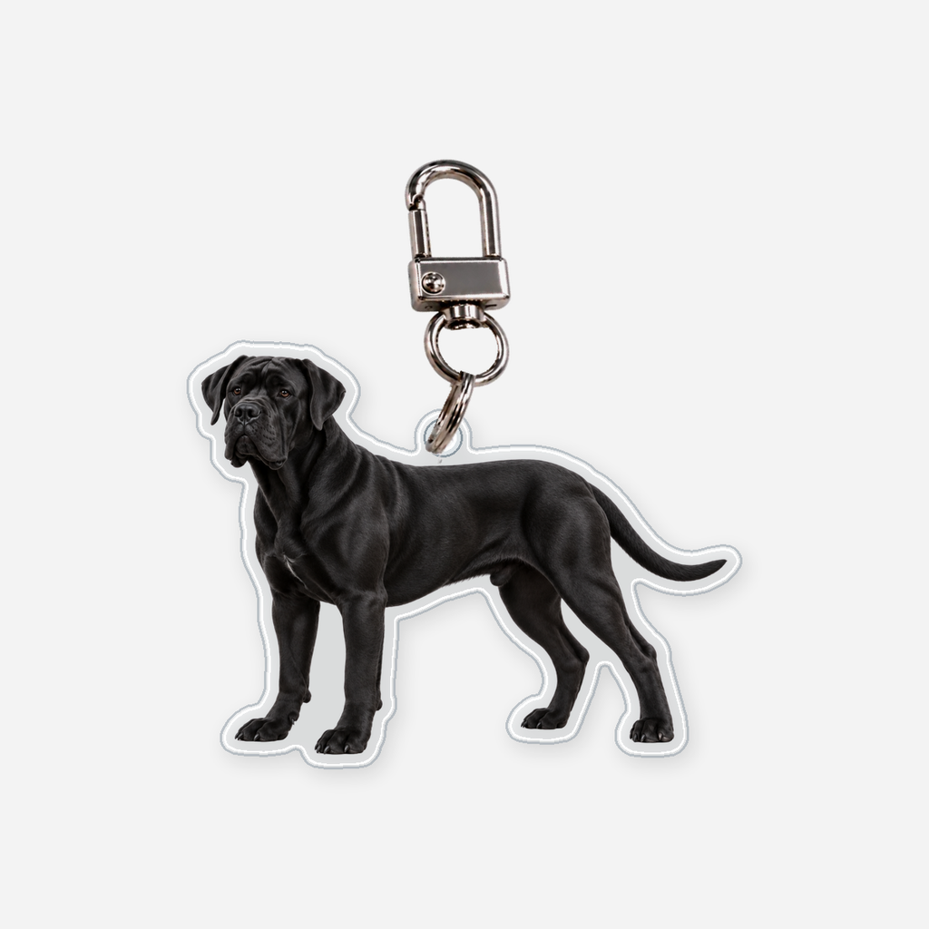 Cane corso Avaimenperä