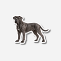 Cane corso magneetti