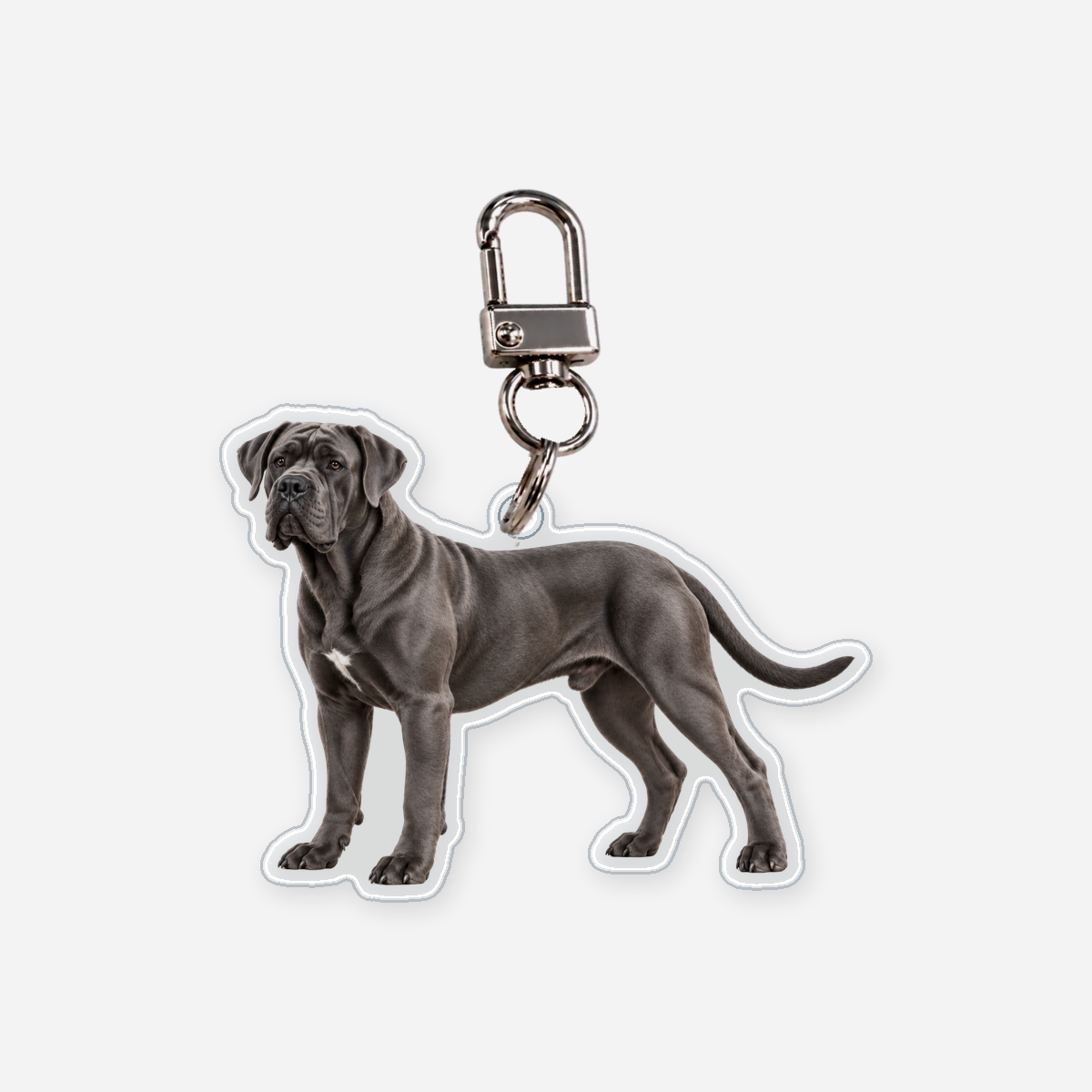 Cane corso Avaimenperä