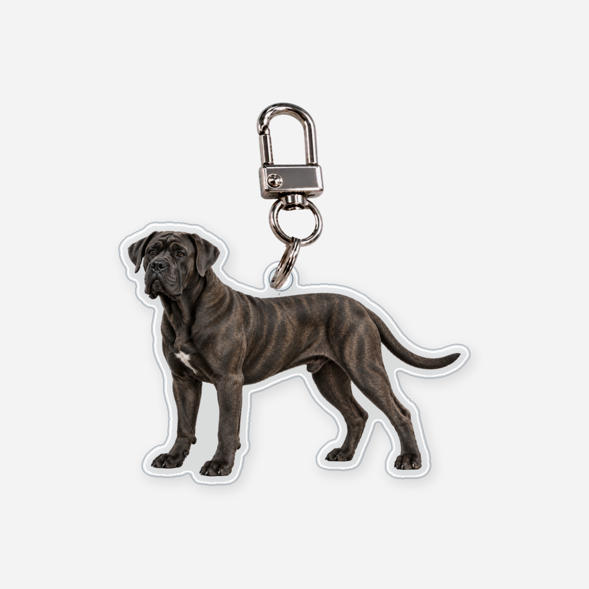 Cane corso Avaimenperä