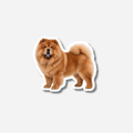 Chow chow magneetti