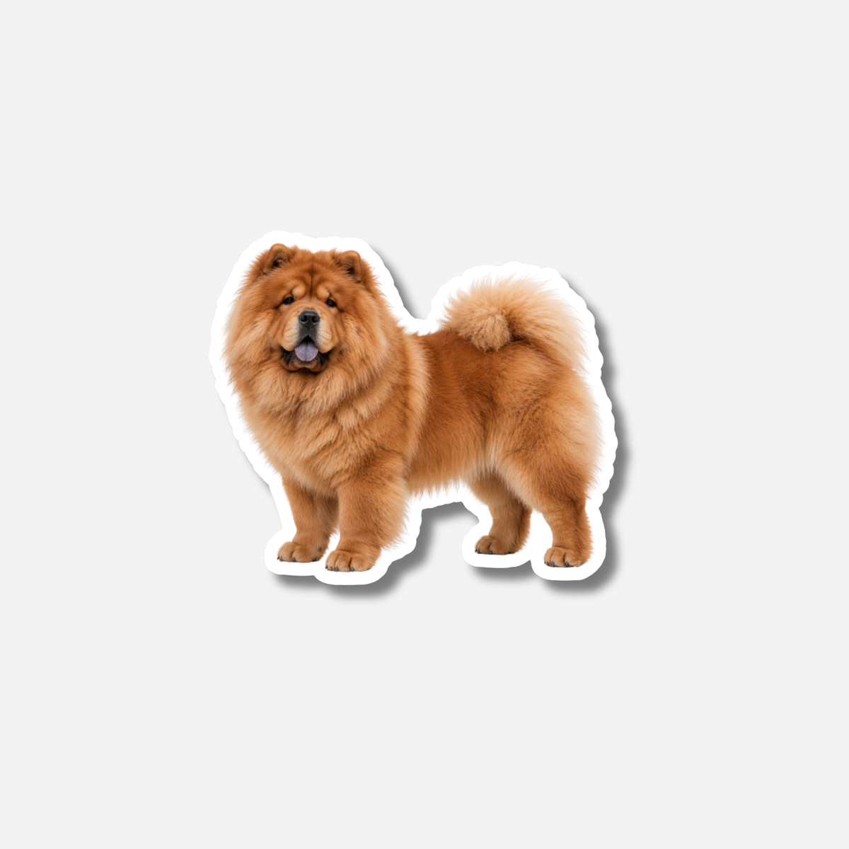 Chow chow magneetti
