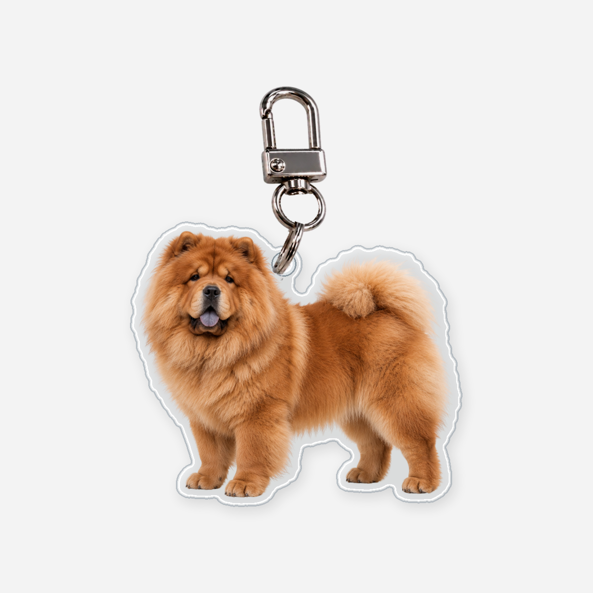 Chow chow Avaimenperä