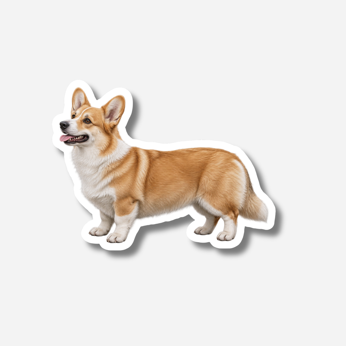 Pembroke Corgi Magneetti