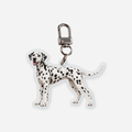 Dalmatialainen Avaimenperä