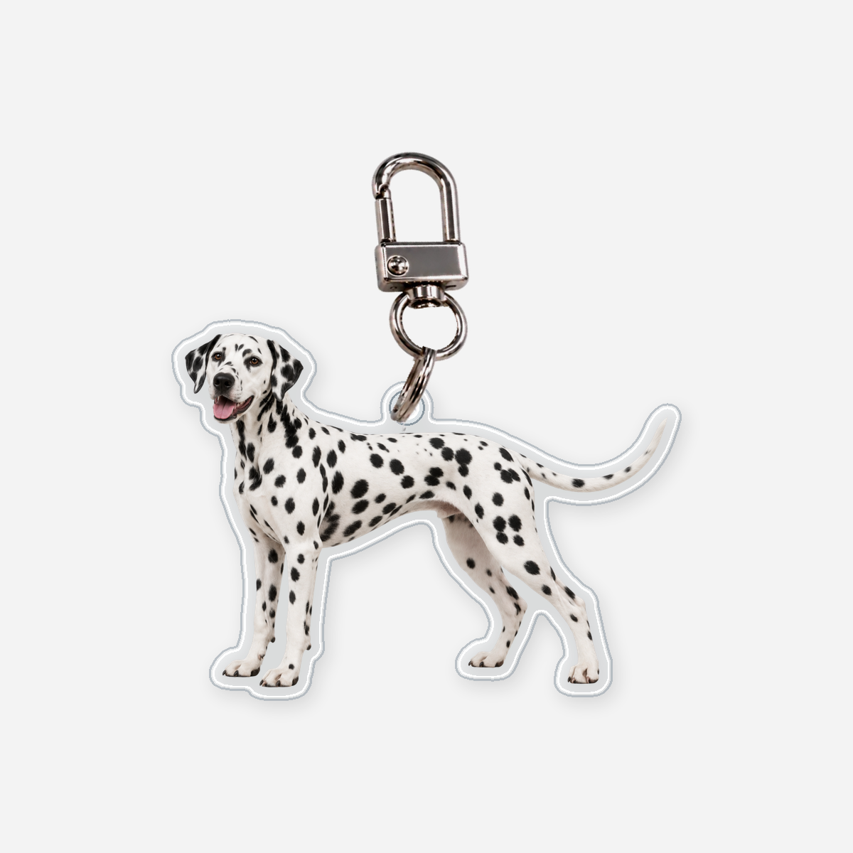 Dalmatialainen Avaimenperä