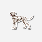 Dalmatialainen magneetti
