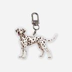 Dalmatialainen Avaimenperä