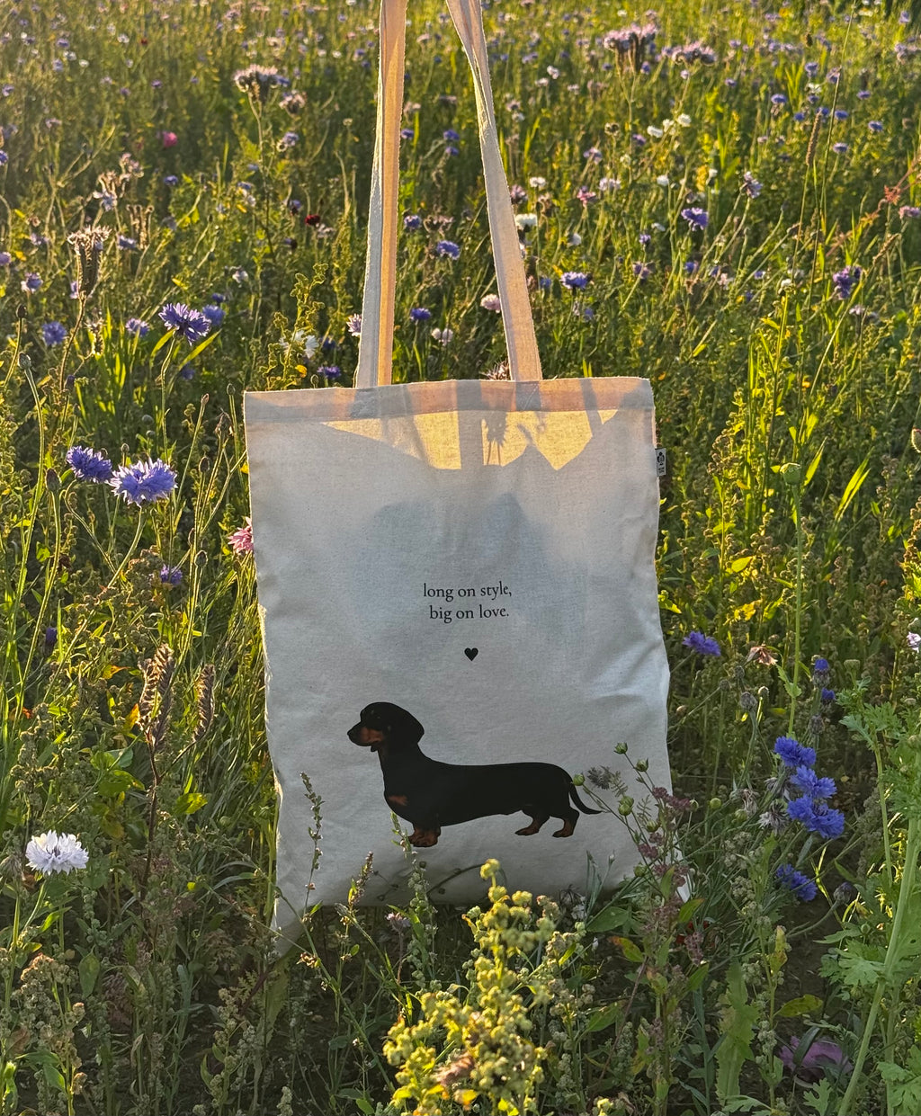 Mäyräkoirarakkautta Kangaskassi