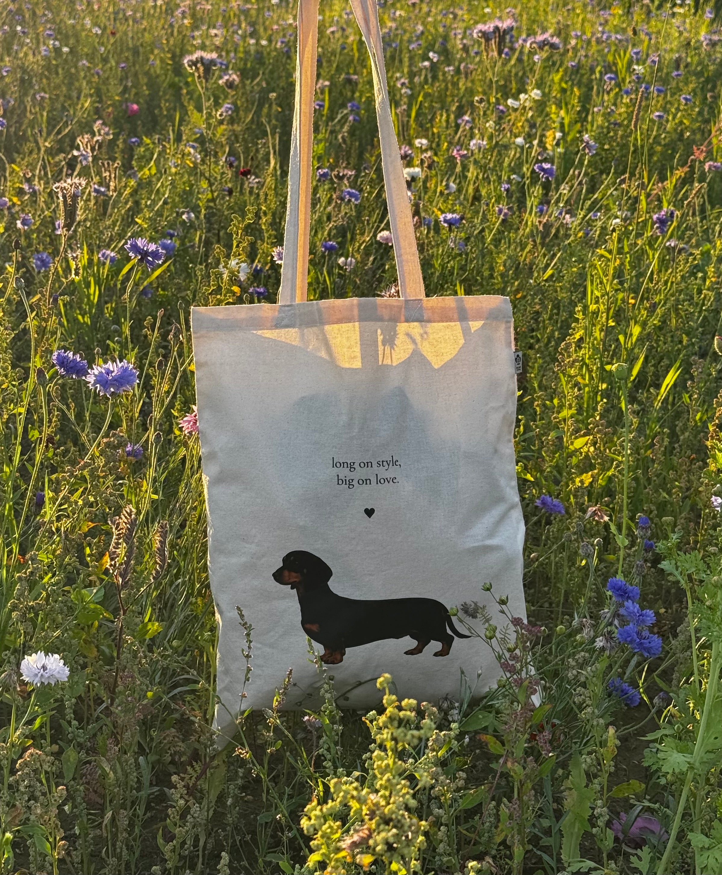Mäyräkoirarakkautta Kangaskassi