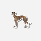 Galgo magneetti