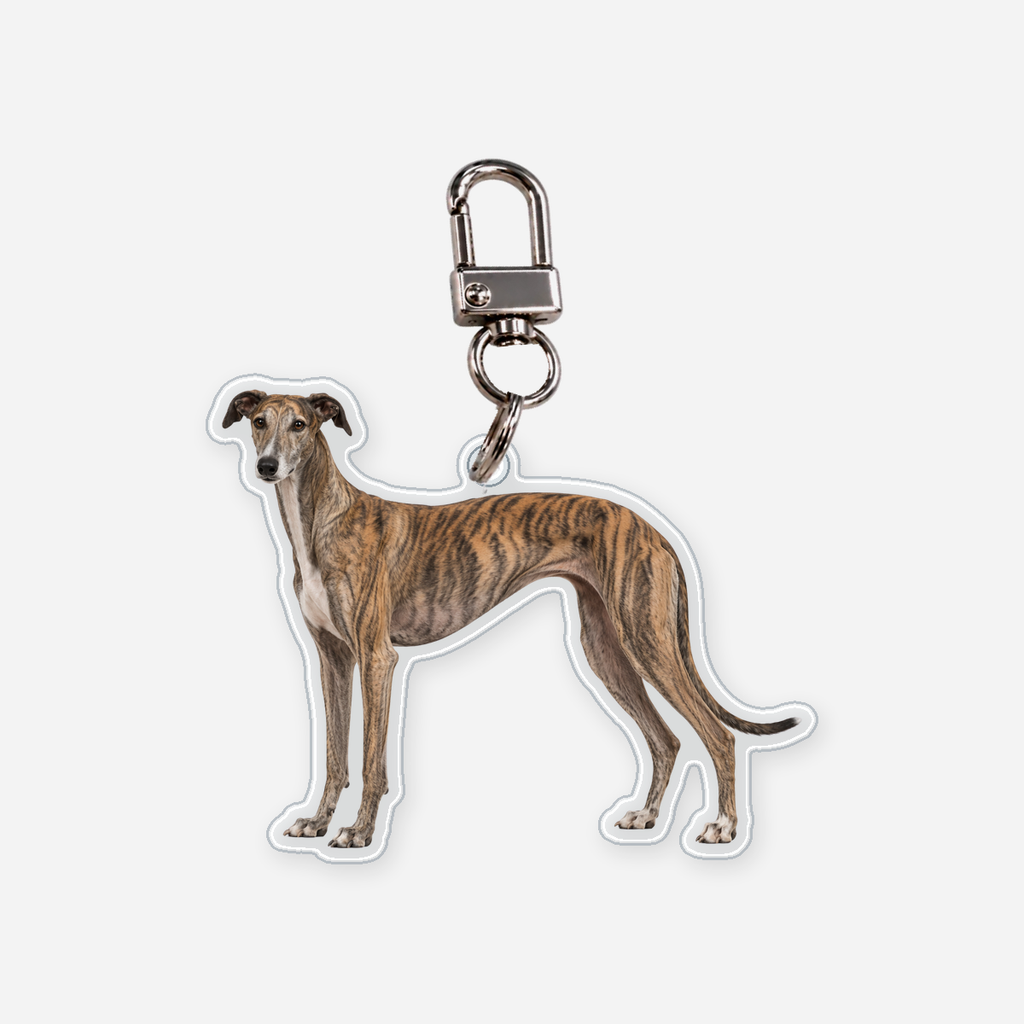 Galgo Avaimenperä