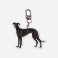 Galgo Avaimenperä