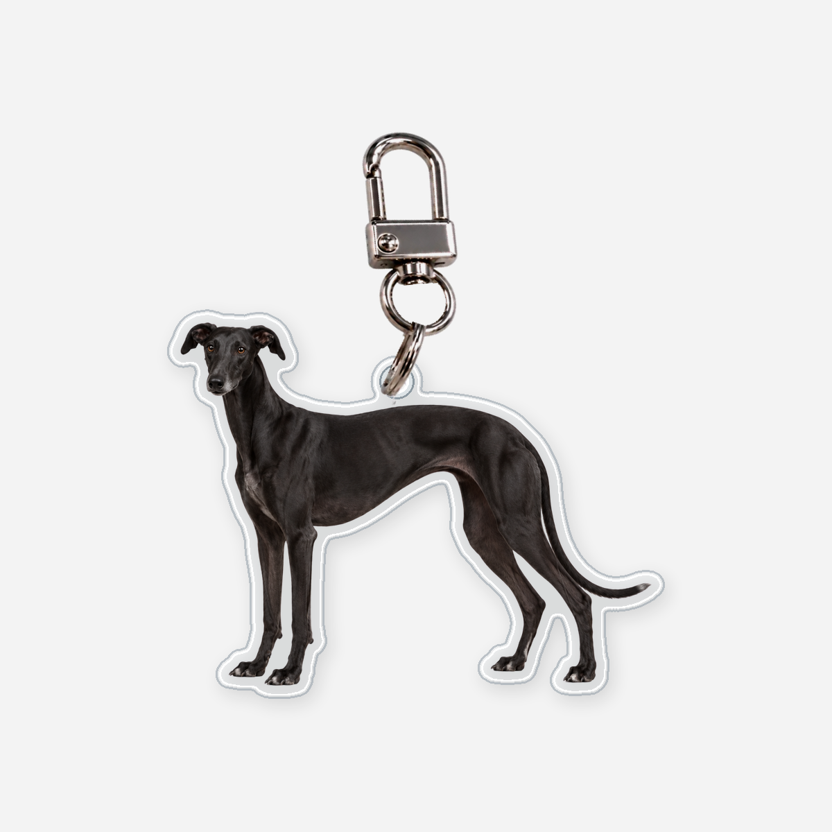 Galgo Avaimenperä