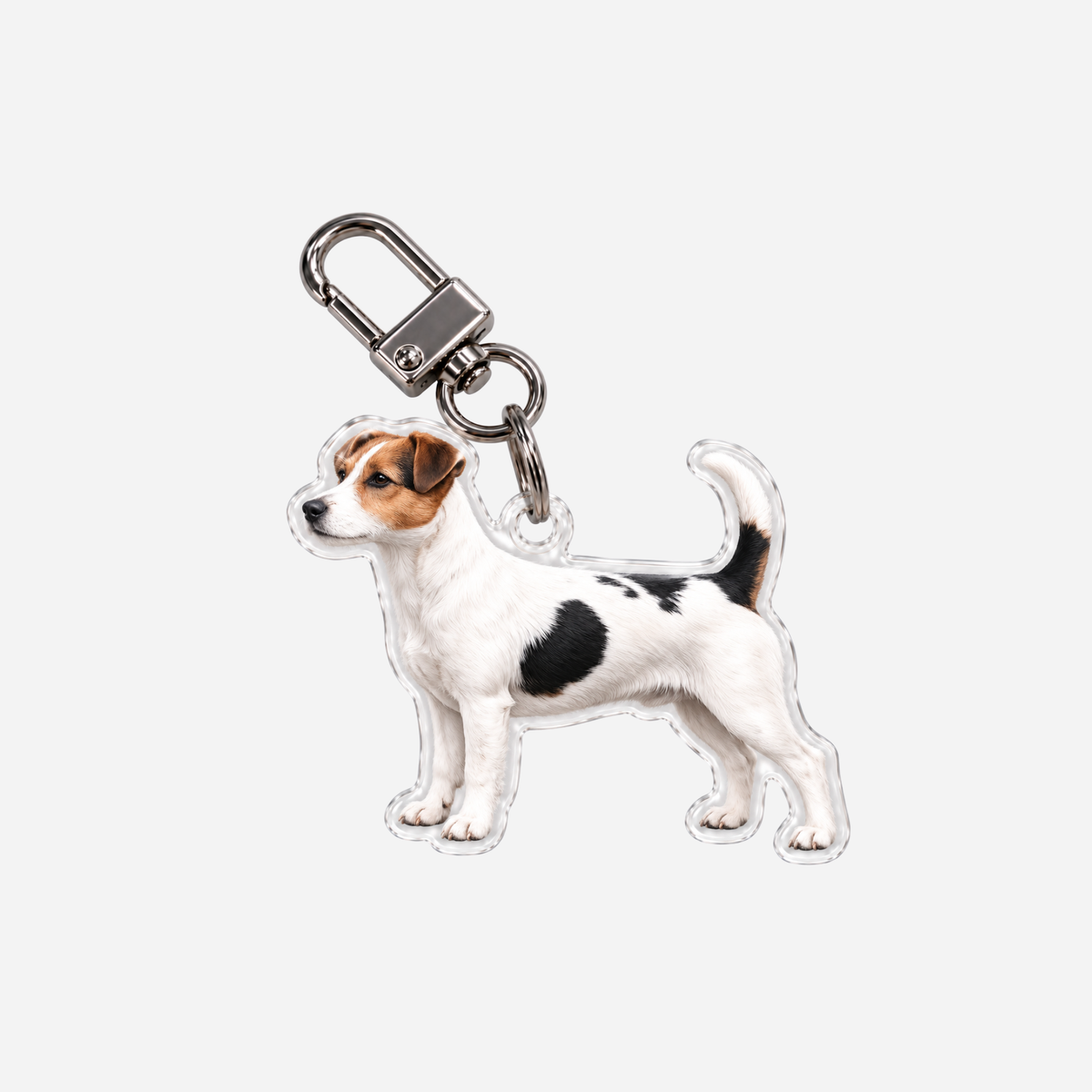Jackrussellinterrieri Avaimenperä