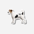 Jackrussellinterrieri Magneetti