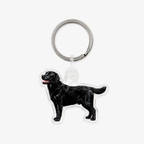 Labradorinnoutaja avaimenperä