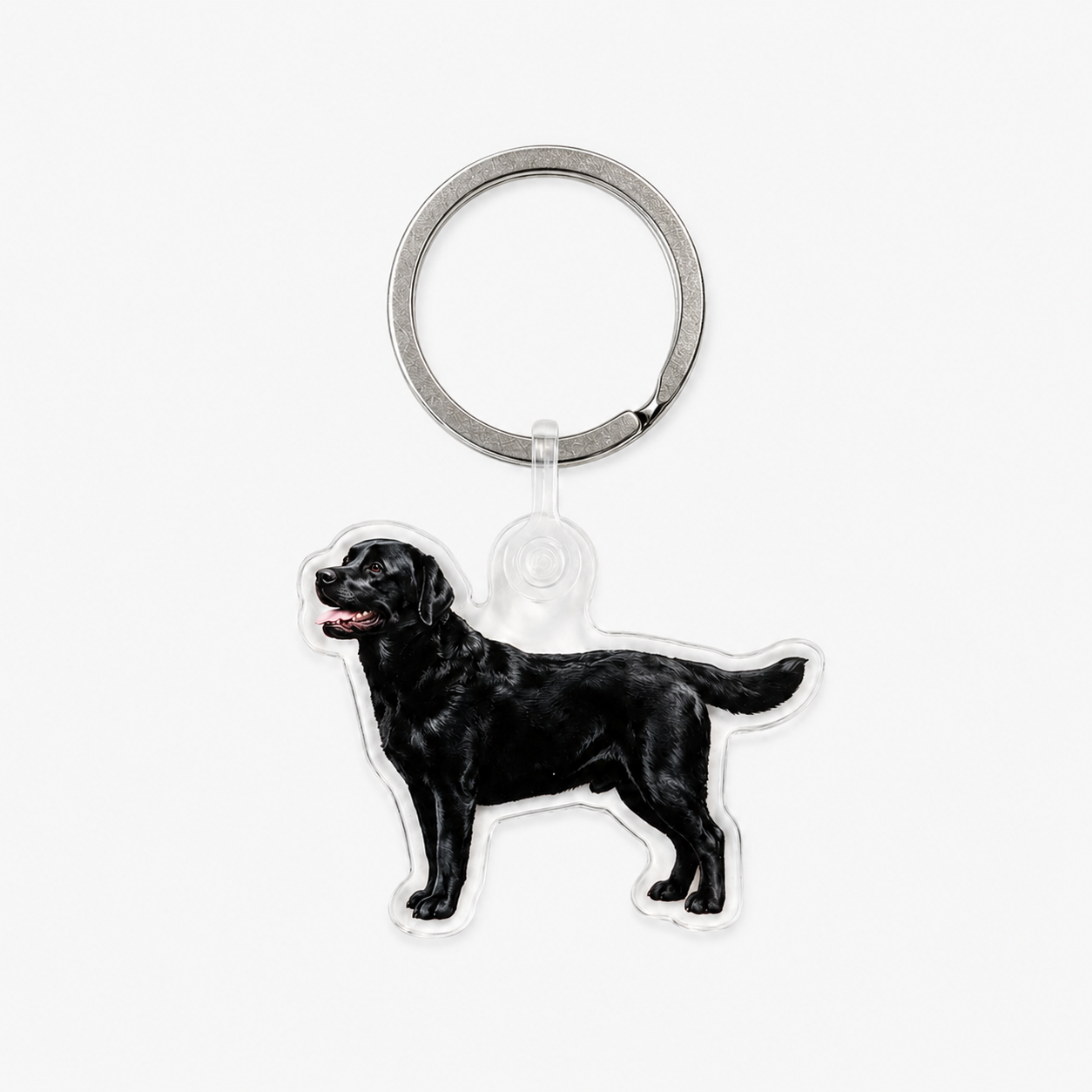 Labradorinnoutaja avaimenperä