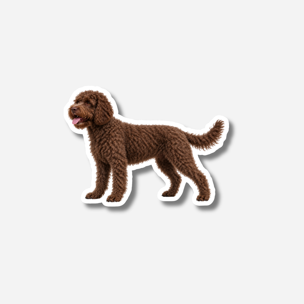 Lagotto magneetti