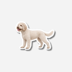 Lagotto magneetti