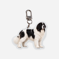 Landseer Avaimenperä