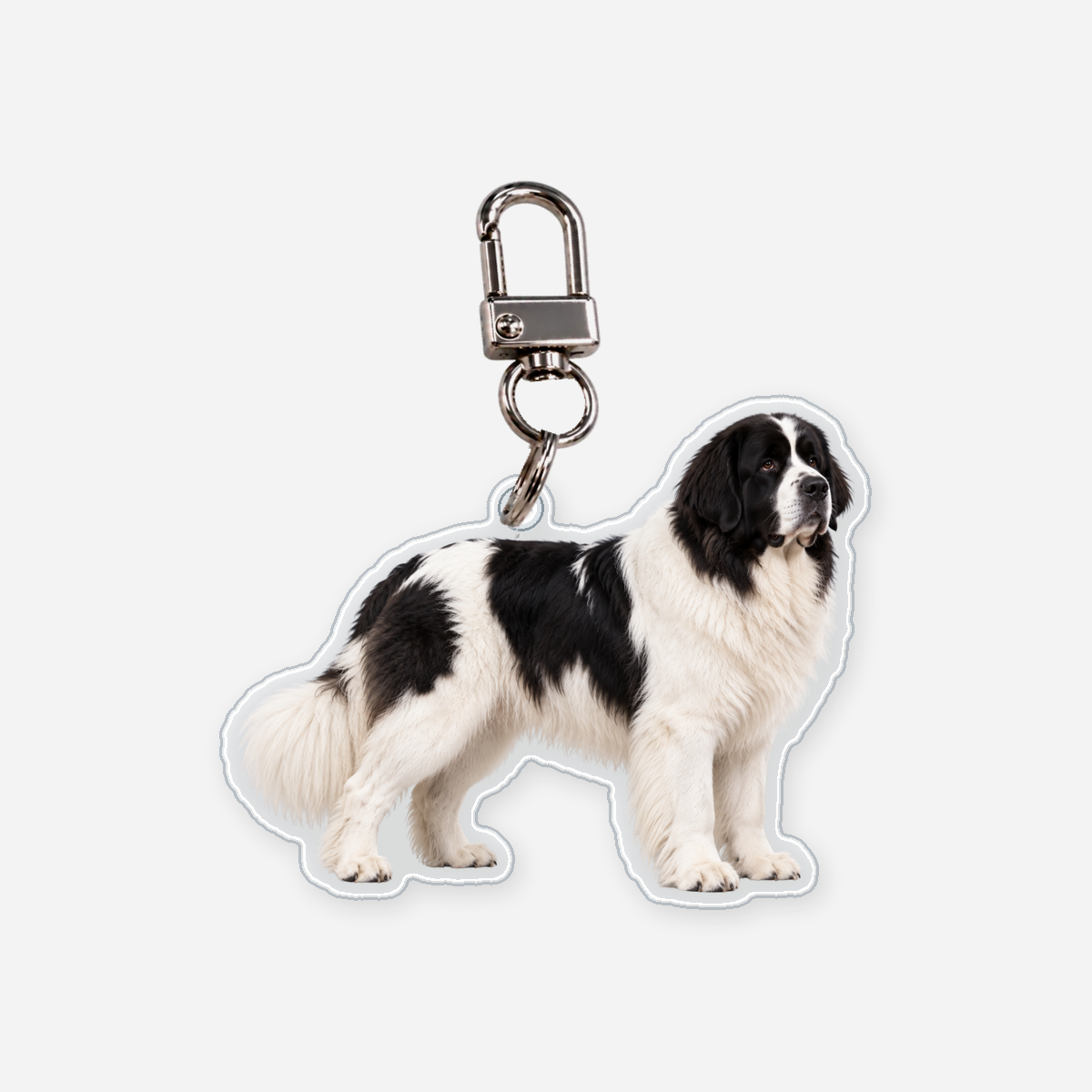 Landseer Avaimenperä