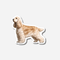 Cockerspaniel Magneetti