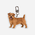 Norfolkinterrieri Avaimenperä
