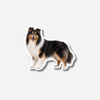 Pitkäkarvainen collie magneetti