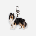 Pitkäkarvainen collie Avaimenperä