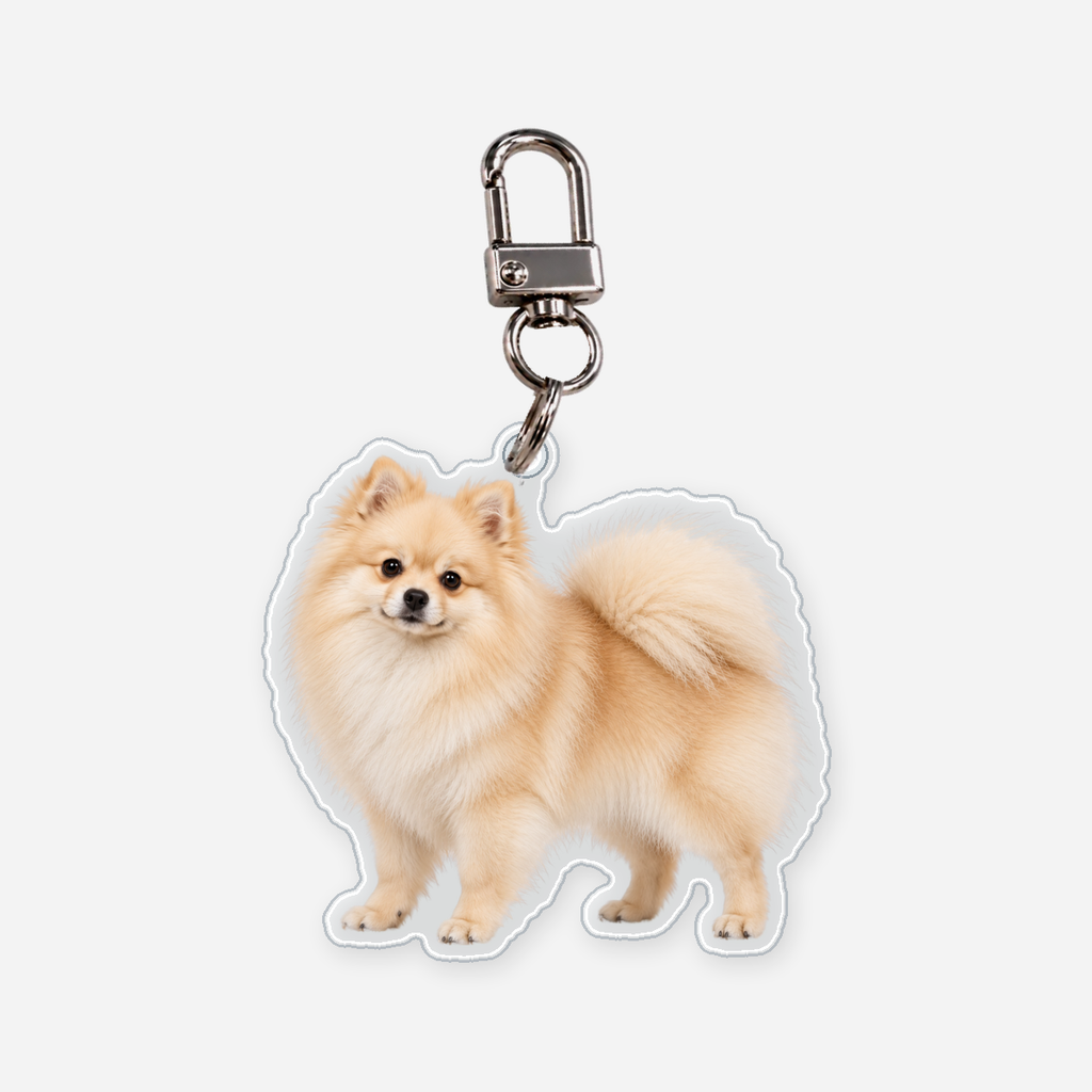 Pomeranian Avaimenperä