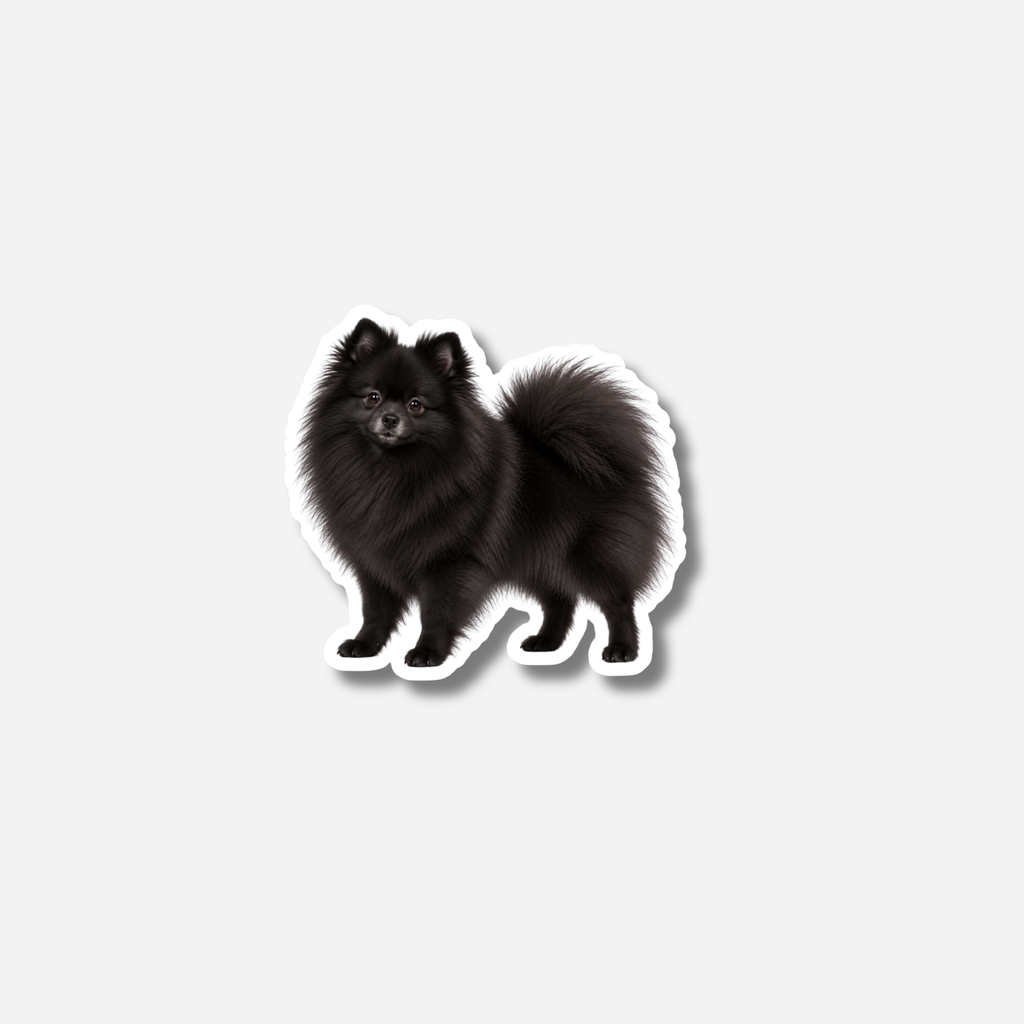 Pomeranian magneetti