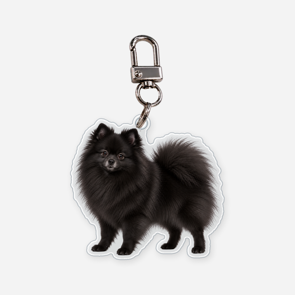 Pomeranian Avaimenperä