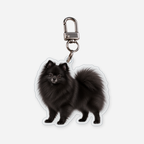 Pomeranian Avaimenperä