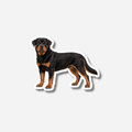 Rottweiler magneetti