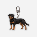 Rottweiler Avaimenperä