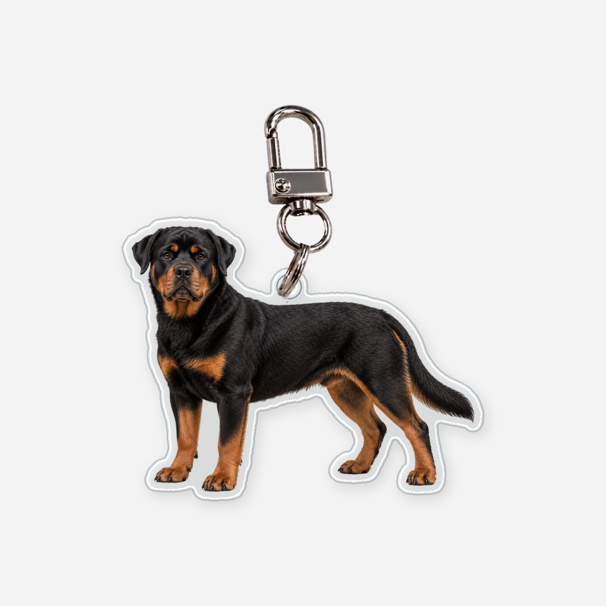 Rottweiler Avaimenperä