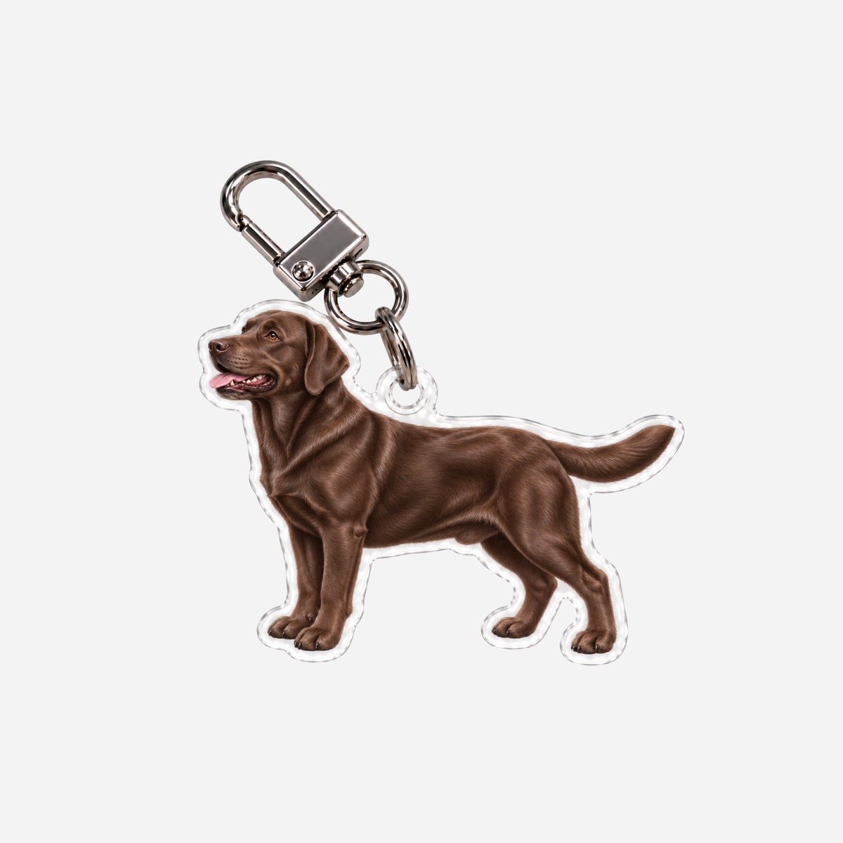 Ruskea Labradorinnoutaja Avaimenperä